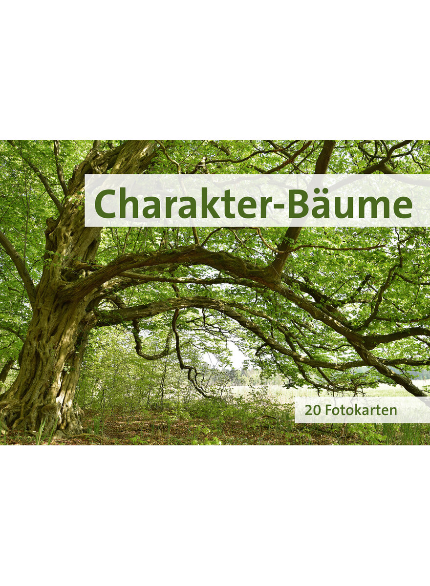 POSTKARTENBUCH CHARAKTER-BUME