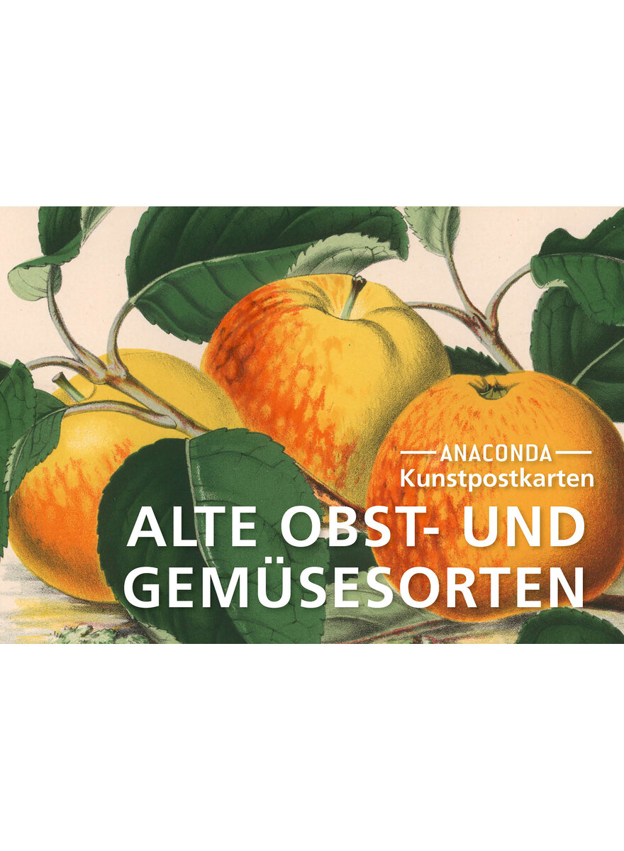 KUNSTPOSTKARTEN ALTE OBST- UND GEMSESORTEN