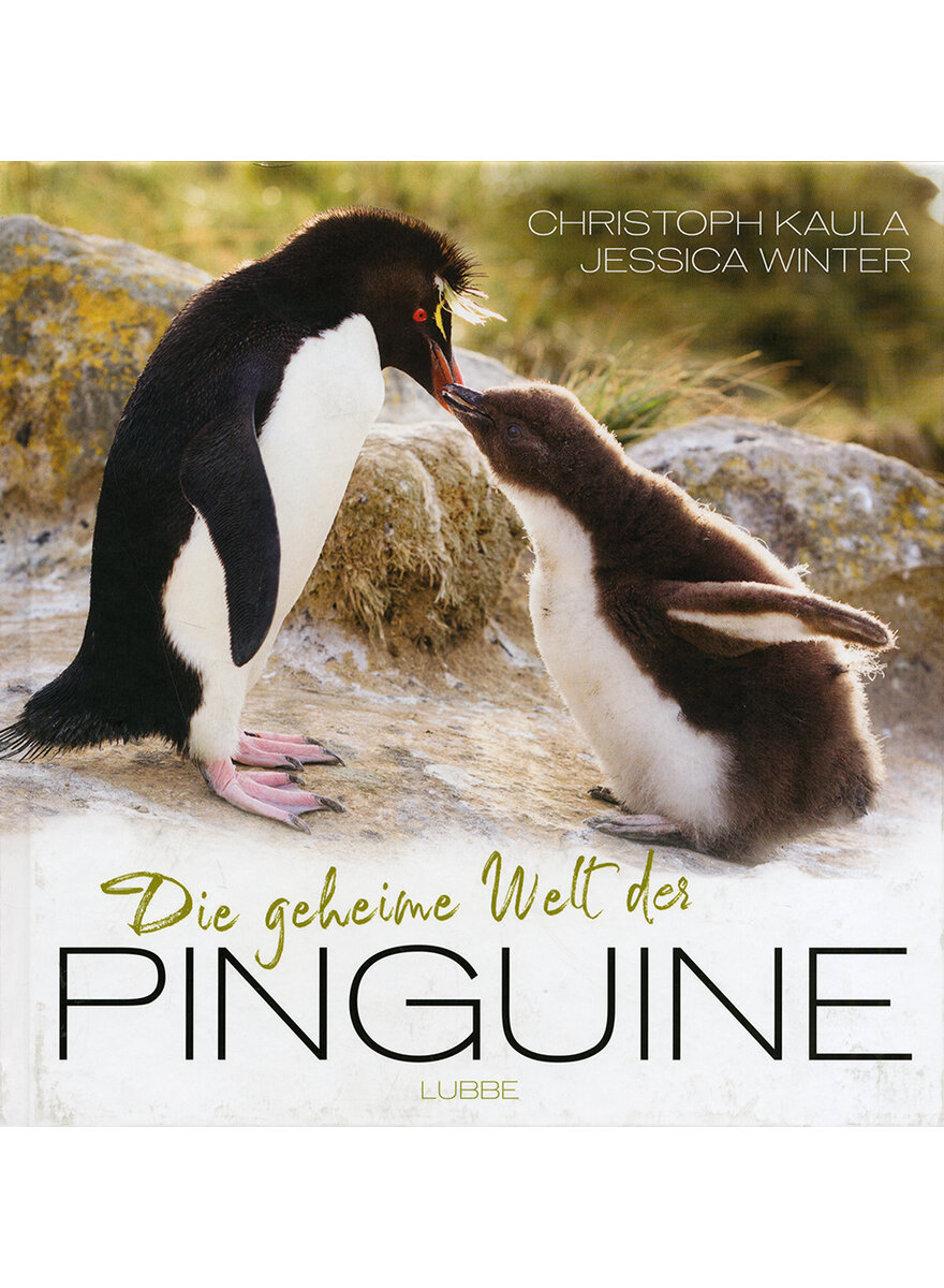 Pinguine der Welt Druck - .de