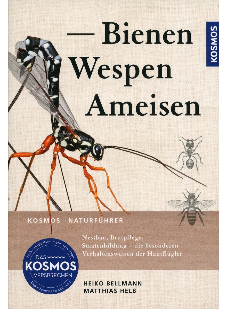 BIENEN, WESPEN, AMEISEN - BELLMANN/HELB