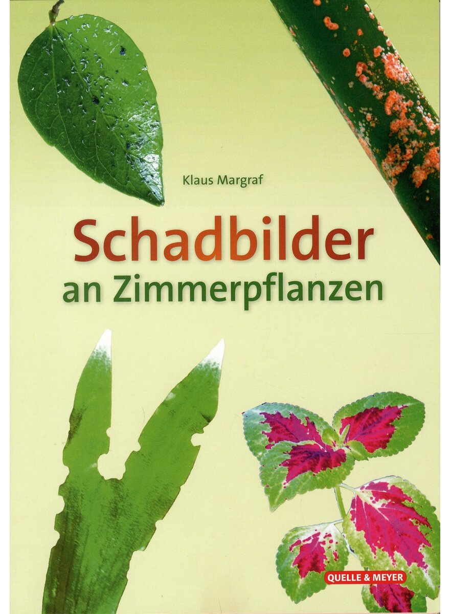 SCHADBILDER AN ZIMMERPFLANZEN - KLAUS MARGRAF