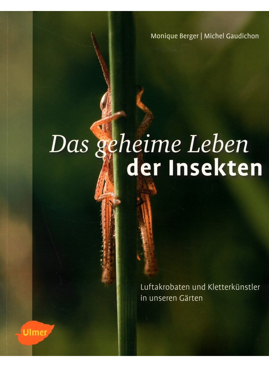 DAS GEHEIME LEBEN DER INSEKTEN - BERGER/GAUDICHON