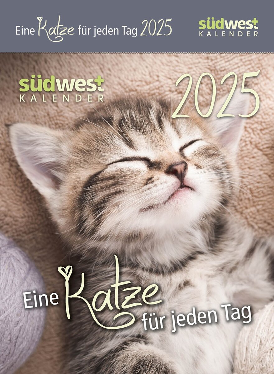 KALENDER EINE KATZE FR JEDEN TAG 2025 -