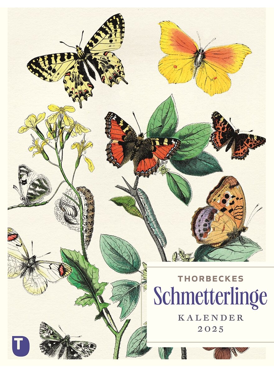 THORBECKES SCHMETTERLINGE- KALENDER 2025 -