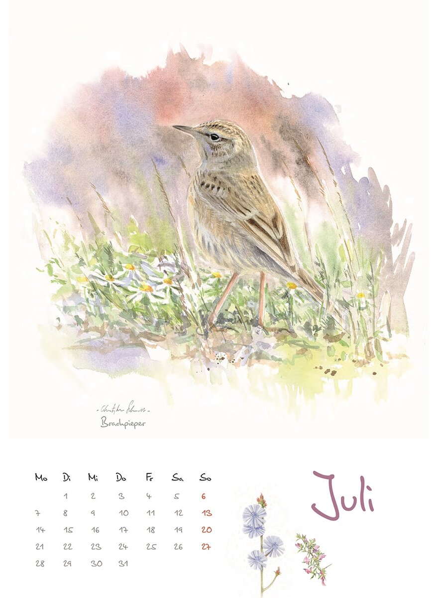 KALENDER VOGELIMPRESSIONEN 2025 - CHRISTOPHER SCHMIDT Bild 2