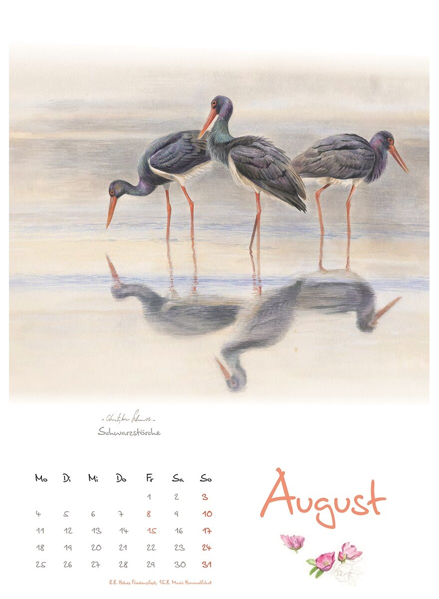 KALENDER VOGELIMPRESSIONEN 2025 - CHRISTOPHER SCHMIDT Bild 3