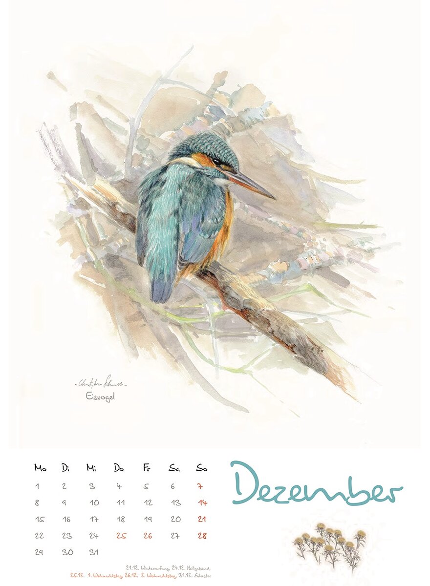 KALENDER VOGELIMPRESSIONEN 2025 - CHRISTOPHER SCHMIDT Bild 4