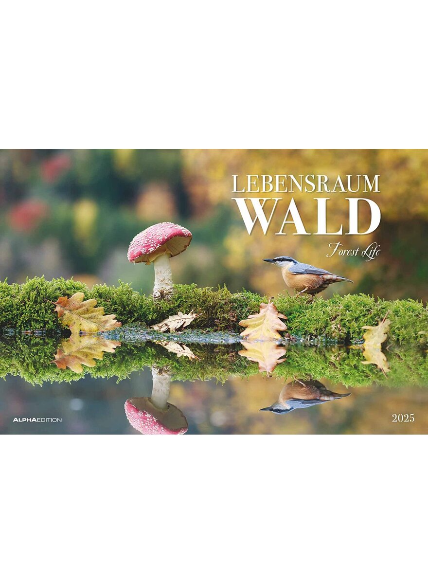 KALENDER LEBENSRAUM WALD 2025 -