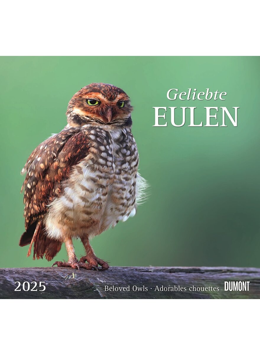 KALENDER GELIEBTE EULEN 2025 -