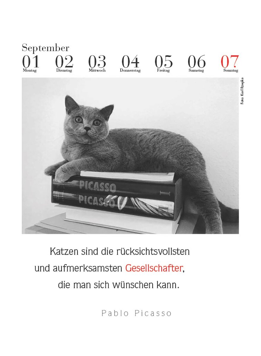 DER LITERARISCHE KATZEN- KALENDER 2025 - J. BACHSTEIN Bild 3