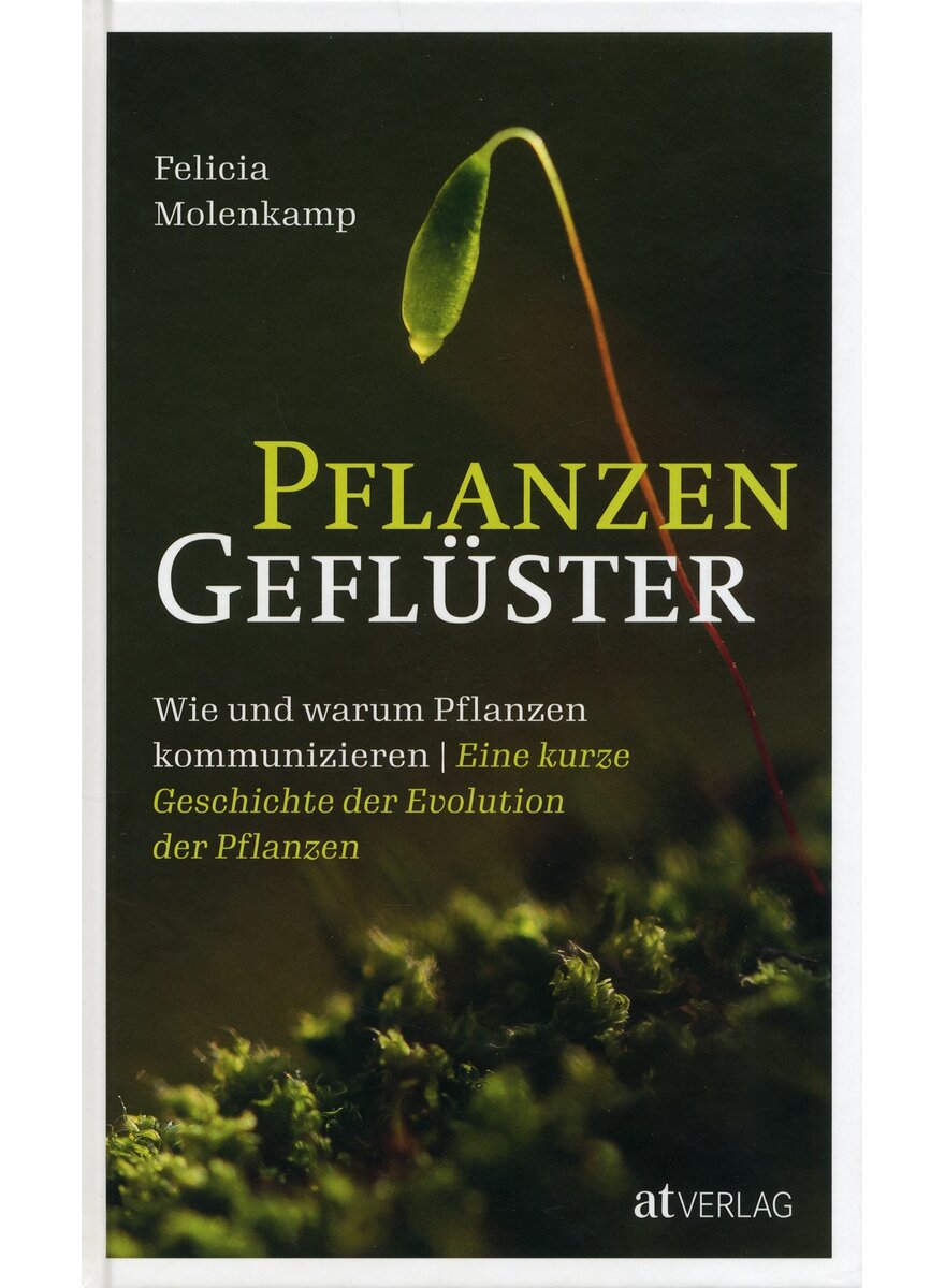 PFLANZENGEFLSTER - FELICIA MOLENKAMP