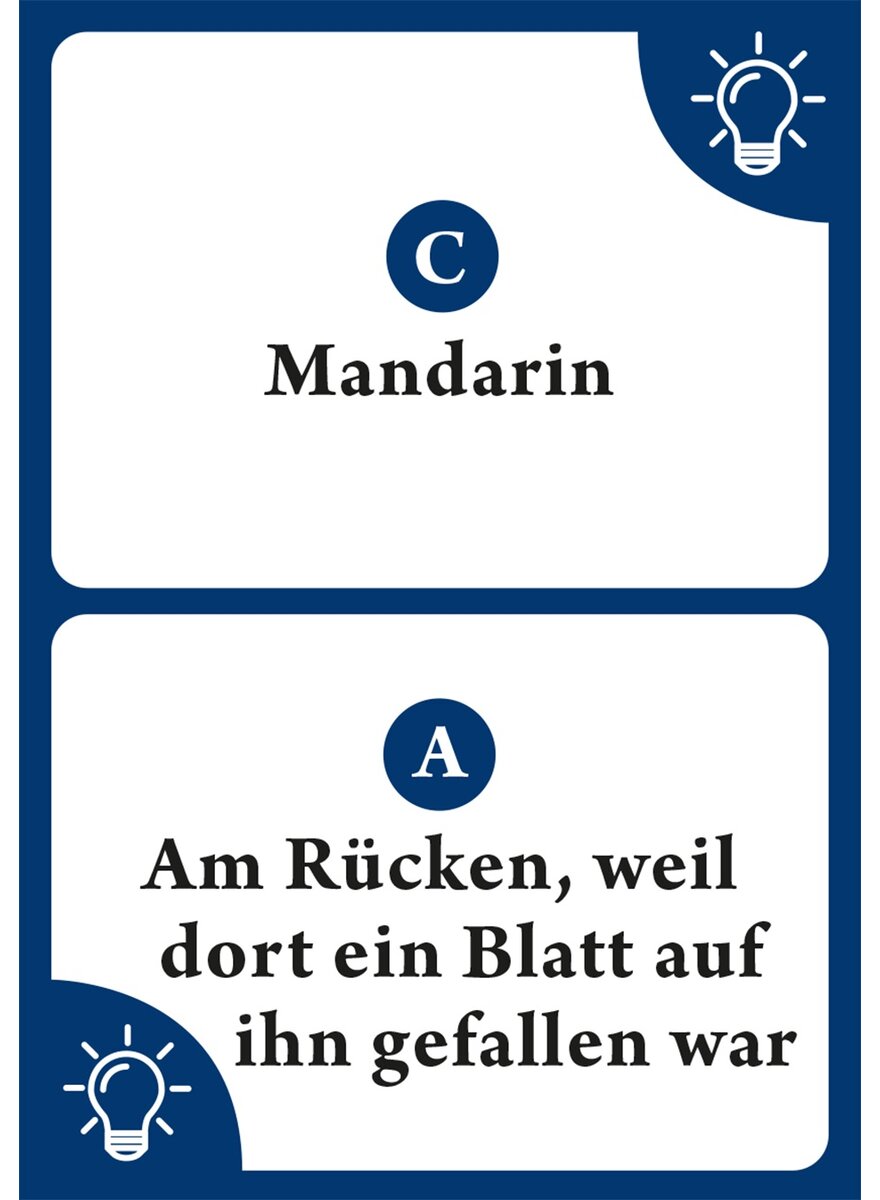 QUIZ WIE GUT IST IHRE ALLGE- MEINBILDUNG? Bild 5