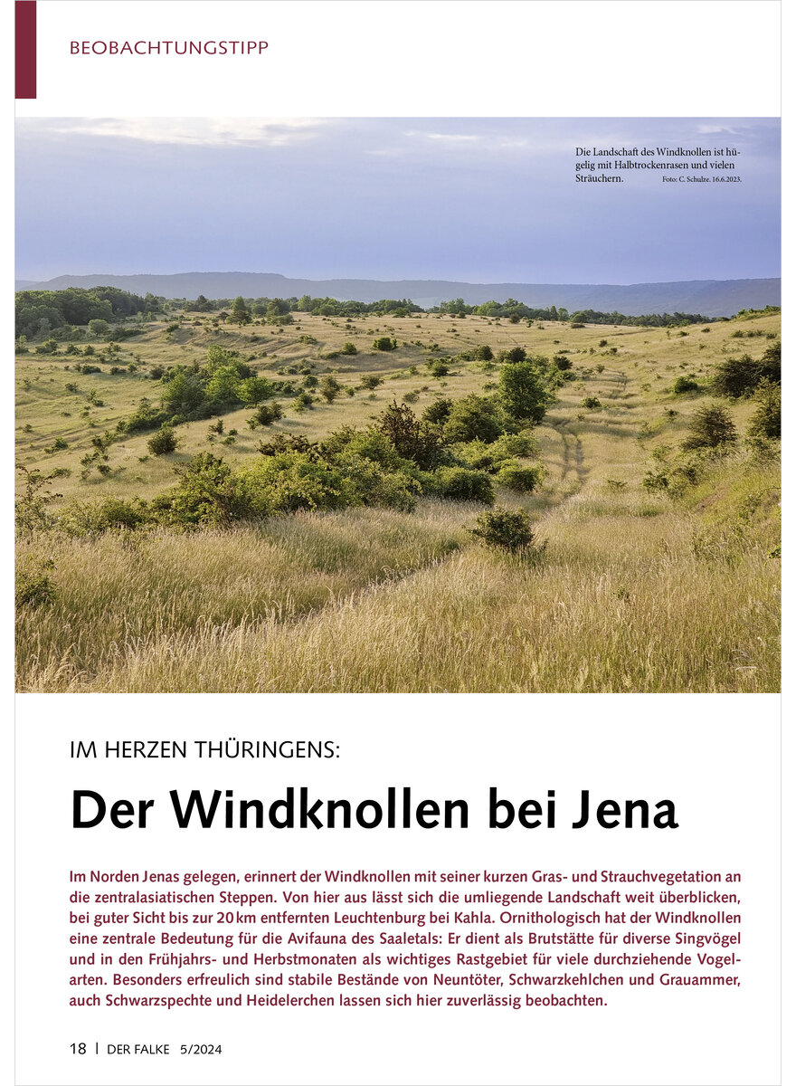 IM HERZEN THRINGENS DER WIND KNOLLEN BEI JENA