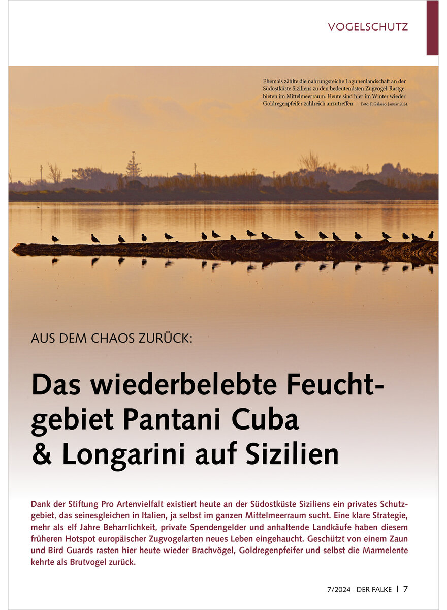 DAS WIEDERBELEBTE FEUCHTGEBIET PANTANI CUBA & LONGARINI AUF SIZILIEN