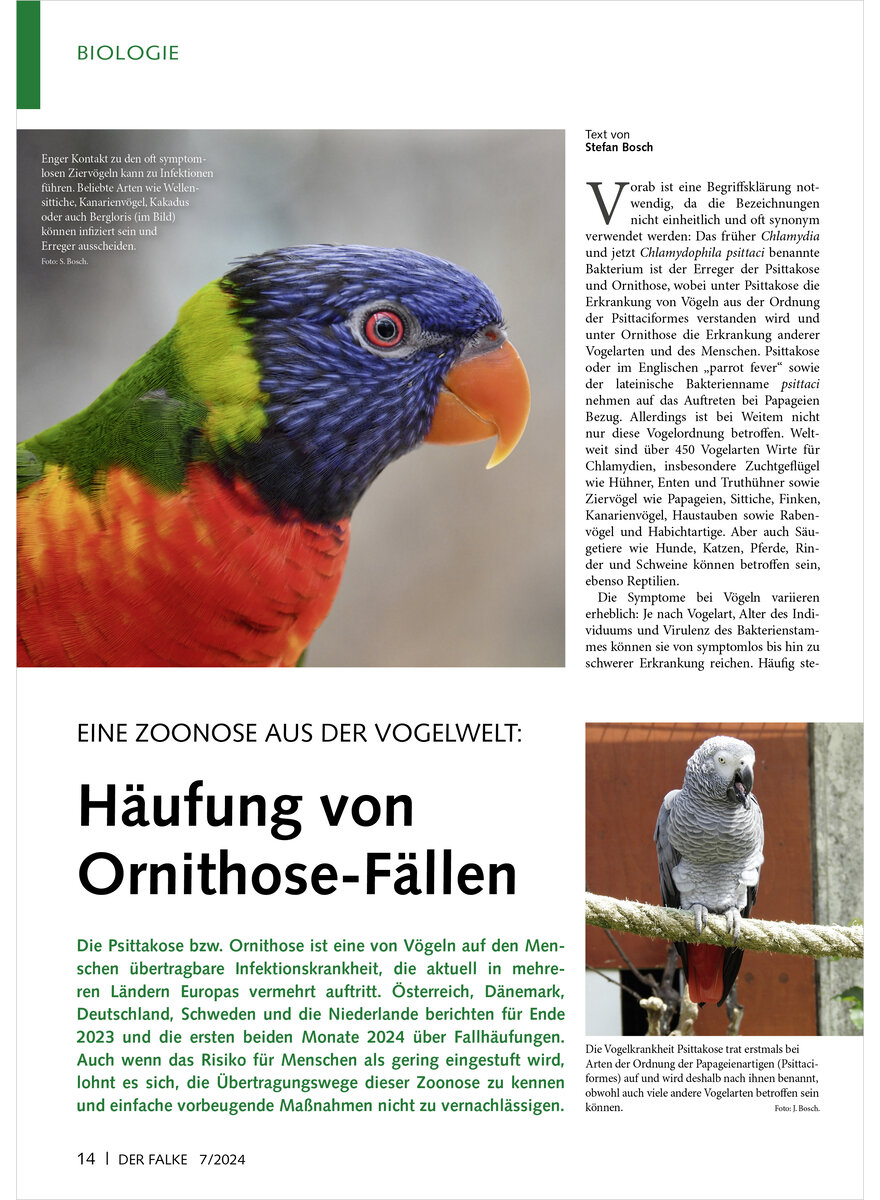 EINE ZOONOSE AUS DER VOGELWELT HUFUNG VON ORNITHOSE-FLLEN