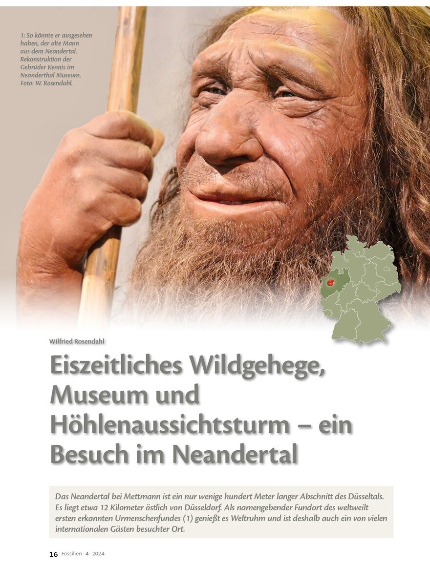 EISZEITLICHES WILDGEHEGE, MUSEUM UND HHLENAUSSICHTSTURM - EIN BESUCH IM NEANDERTAL