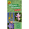 WIESENBLUMEN IM VERGLEICH BESTIMMUNGSKARTE