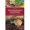 WIESE, DIE LANDSCHNECKEN DEUTSCHLANDS 3. AUFLAGE 2024