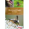 SSYMANK/MENGUAL DIE SCHWEBFLIEGEN EUROPAS
