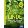 DIE LINDE - BAUM DER HEILUNG UND HARMONIE - BARBARA SIMONSOHN