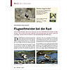 BILD DES MONATS: AUFLSUNG VOM AUGUST: FLUGWELTMEISTER BEI DER RAST
