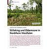 JUWELEN DES SDERBERGLANDES: STILLEKING UND EBBEMOORE IN NORDRHEIN-WESTFALEN