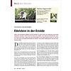 BILD DES MONATS: AUFLSUNG VOM SEPTEMBER: EDELSTEIN IN DER EINDE