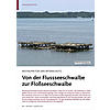 NISTHILFEN FR DEN ARTENSCHUTZ : VON DER FLUSSSEESCHWALBE ZUR FLOSSSEESCHWALBE