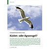 STURMMWE AN DER OSTSEE: KSTEN- ODER AGRARVOGEL?
