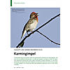 DIALEKTE UND MNNCHENBERSCHUS S: KARMINGIMPEL