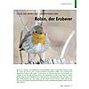 VOGEL DES JAHRES 2021 - DAS ROTKEHLCHEN: ROBIN, DER EROBERER