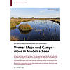 ENTWICKLUNGSSTADIEN EINES HOCH MOORES: VENNER MOOR UND CAMPE MOOR IN NIEDERSACHSEN