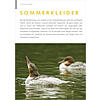 FOTOGALERIE: SOMMERKLEIDER