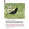 BESTIMMUNG VON VOGELARTEN: DIE KRISE DER ARTENKENNTNIS