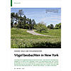 WASSER, WALD UND WOLKENKRATZER VGEL BEOBACHTEN IN NEW YORK