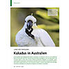 LAND DER PAPAGEIEN KAKADUS IN AUSTRALIEN