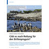 AFRIKAS EINZIGE PINGUINART GIBT ES NOCH RETTUNG FR DEN BRILLENPINGUIN