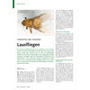 PARASITEN UND TRAMPER LAUS FLIEGEN