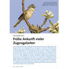 FRHJAHR 2024 FRHE ANKUNFT VIELER ZUGVOGELARTEN