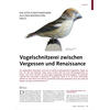 EIN ALTES KUNSTHANDWERK AUS DEM BAYERISCHEN WALD VOGELSCH NTZEREI ZWISCHEN VERGESSEN