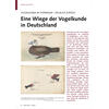 VOGELKUNDE IN THRINGEN EIN BLICK ZURCK EINE WIEGE DER VOGELKUNDE IN DEUTSCHLAND