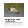 VOGELWANDERUNG ALS RISIKO GEFÄHRDUNG UND SCHUTZ VON ZUGVÖGELN