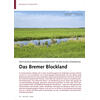 WEITLÄUFIGE NIEDERUNGSLAND SCHAFT IN DER ALTEN WÜMMEAUE DAS BREMER BLOCKLAND