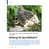 FÜNF JAHRE SPEZIALISIERTES MONITORING FÜR DEN VOGEL DES JAHRES RETTUNG FÜR DAS REBHUHN