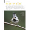 FOTOGALERIE HAUBENVÖGEL