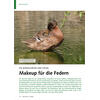 DIE BÜRZELDRÜSE DER VÖGEL MAKEUP FÜR DIE FEDERN
