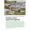 CHANCE F�R DIE NATUR KONFLIKT POTENZIAL WO BIBER WIRKEN W�CHST DIE VOGELWELT