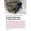 NEUE SCHUTZBEM�HUNGEN DRINGEND ERFORDERLICH RAUCHSCHWALBEN FANG IN NIGERIA GEHT WEITER