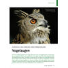 AUSDRUCK UND TARNUNG EINES SINNESORGANS VOGELAUGEN