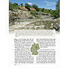 IN DER SCHAUMKALKBANK VON ML LERN (SACHSEN-ANHALT): DIE SEE LILIE CARNALLICRINUS CARNALLI
